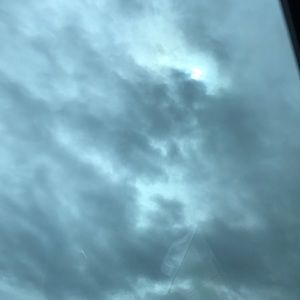 Meet your Posher, Shelly